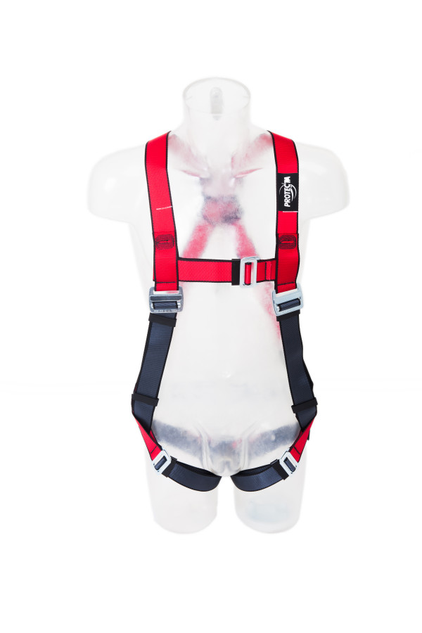 Protecta® Pro™ AB10113NG Safety Harness with Back D Ring